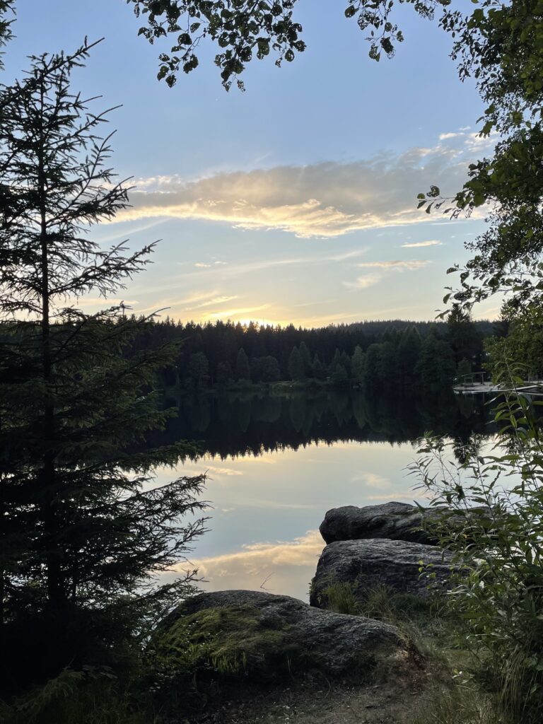 Foto 01.08.21, 20 18 28